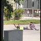 Charles Kinsey lies in a North Miami, Fla., street with his hands up as he tries to reason with his autistic patient and with police before an officer shoots him July 18, 2016.
WSVN screenshot